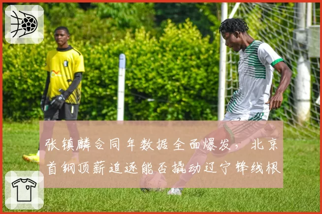 张镇麟合同年数据全面爆发，北京首钢顶薪追逐能否撬动辽宁锋线根基