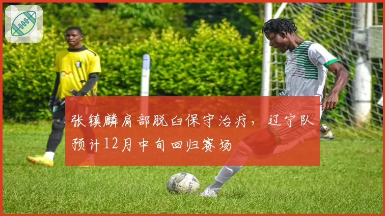 张镇麟肩部脱臼保守治疗,辽宁队预计12月中旬回归赛场
