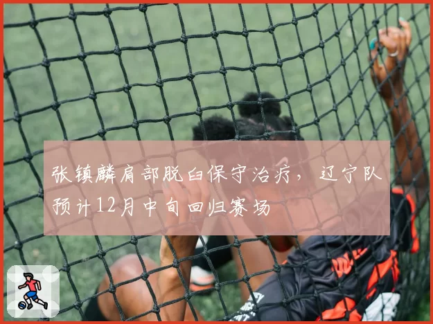 张镇麟肩部脱臼保守治疗,辽宁队预计12月中旬回归赛场