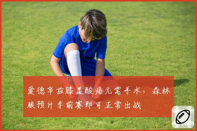 爱德华兹膝盖酸痛无需手术,森林狼预计季前赛即可正常出战