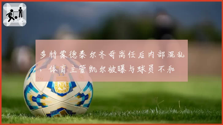 多特蒙德泰尔齐奇离任后内部混乱,体育主管凯尔被曝与球员不和