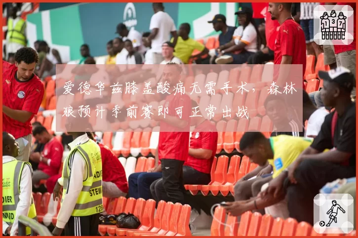 爱德华兹膝盖酸痛无需手术,森林狼预计季前赛即可正常出战