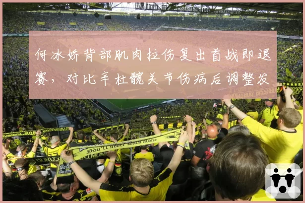何冰娇背部肌肉拉伤复出首战即退赛,对比辛杜髋关节伤病后调整发球动作规避风险
